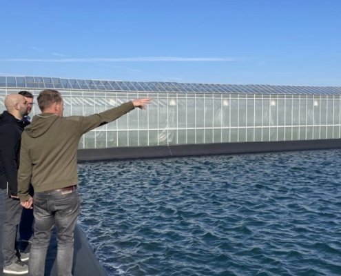Zon op waterbassins
